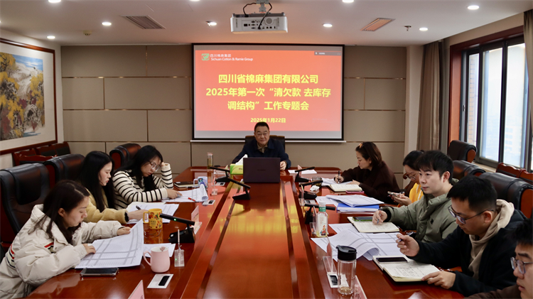 集團公司召開2025年第一次“清欠款、去庫存、調結構”工作專題會